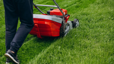 Machine for Cutting Grass